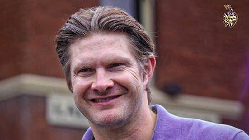 shane watson