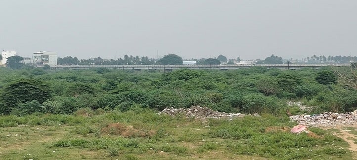 வேலூா் புதிய பேருந்து நிலையம் அருகே பாலாற்றில் அடா்ந்து வளா்ந்து காணப்படும் சீமைக் கருவேல மரங்கள்.