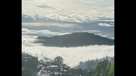 கொடைக்கானலில் பனிப் பொழிவு