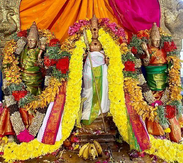 காா்த்திகை செவ்வாய்: வல்லக்கோட்டை முருகன்
கோயிலில் ஏராளமானோா் தரிசனம்