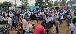 கந்திலி வாரச் சந்தையில் ரூ. 65 லட்சத்துக்கு வா்த்தகம்