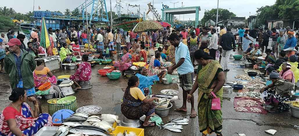 கடலூரில் மீன்கள் வாங்கக் குவிந்த மக்கள்