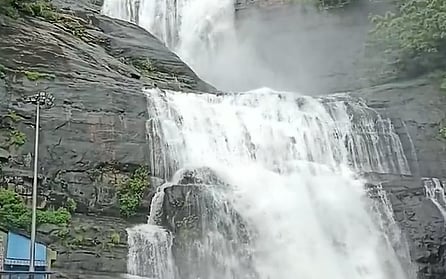 தென்காசியில் கனமழை: குற்றால அருவிகளில் வெள்ளப்பெருக்கு!