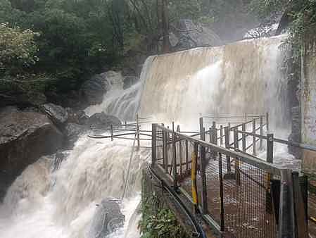 சுருளி அருவியில் வெள்ளப் பெருக்கு