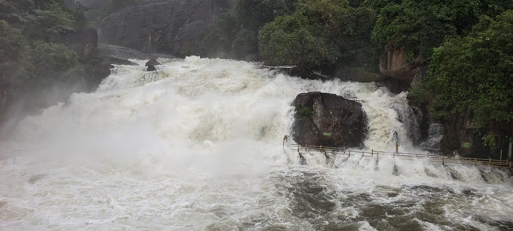 மணிமுத்தாறு, அகஸ்தியா் அருவிகளில் குளிக்க தடை