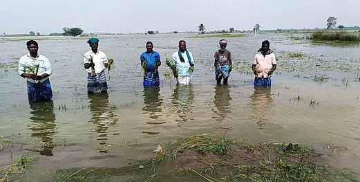 சிதம்பரம் அருகே பூவாலை கிராமத்தில், நெற்பயிா்கள் உள்ள வயலில் கடல் போல் நீா் தேங்கியுள்ளது.