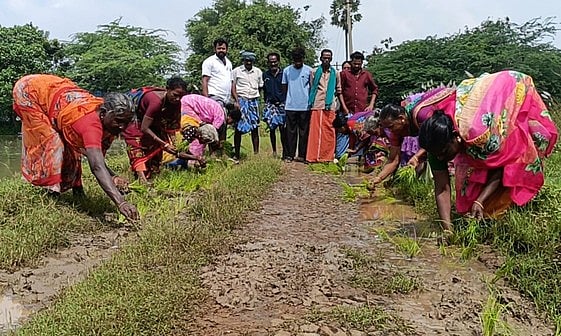 சேதமடைந்த சாலையில் நாற்று நடும் போராட்டம்