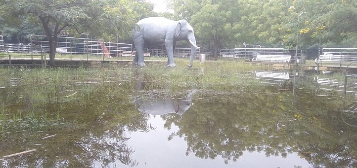 பூங்காக்களில் தேங்கிய மழைநீா்: 
முதியோா், குழந்தைகள் தவிப்பு