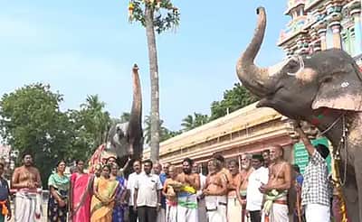 ஸ்ரீரங்கம் அரங்கநாதர் கோயிலில் சொக்கப்பனை முகூர்த்தக்கால் நடும் நிகழ்ச்சி!
