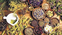 உயிர் காக்கும் சித்த மருத்துவம்!