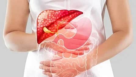 stomach