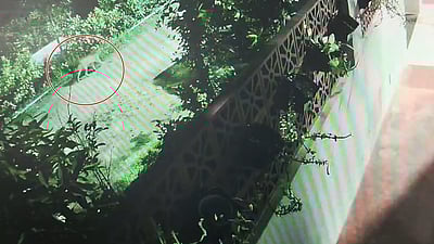 சூலூர் அருகே சிறுத்தை நடமாட்டம்!