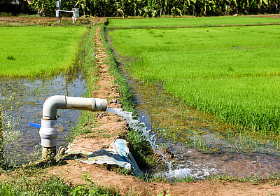 விவசாயமும், மின்சாரமும்...
