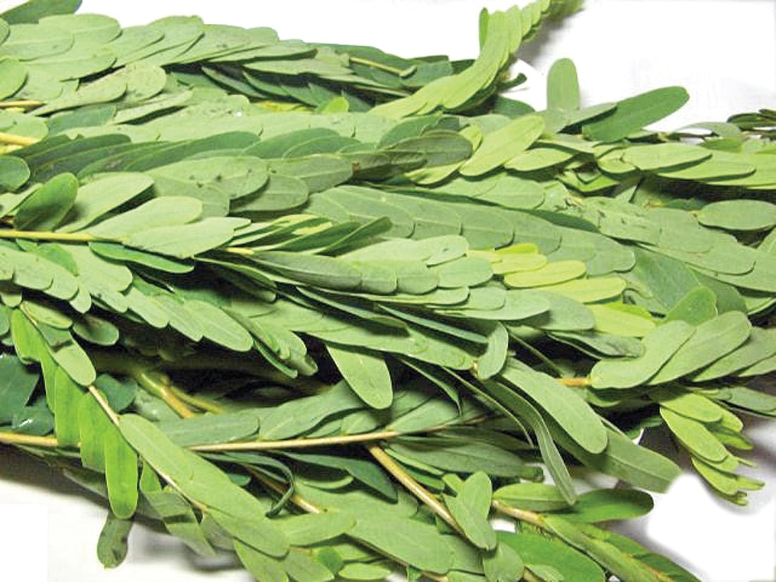 ஆயுள் காக்கும் ஆயுர்வேதம்: நச்சுத்தன்மை குணமாக...