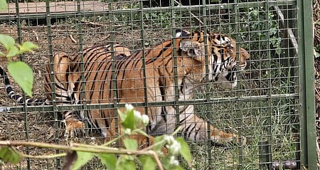 வாழ்வோம்; வாழ விடுவோம்!