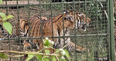 வாழ்வோம்; வாழ விடுவோம்!