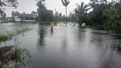 வேதாரண்யம் பகுதியில் தொடரும் கனமழை: கோடியக்கரையில் கடல் சீற்றம்  