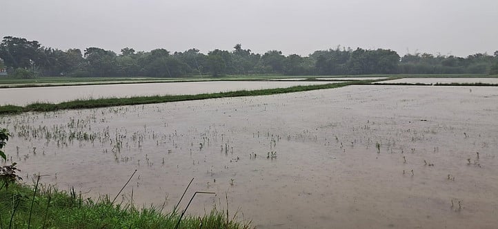 தொடா் மழை : விளைநிலங்கள், குடியிருப்புகளில் அதிகரித்த தண்ணீா்