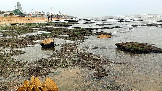 திருச்செந்தூரில் உள்வாங்கிய கடல்!