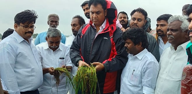 திருவாரூா்: 15,000 ஹெக்டேரில் மழைநீரில் மூழ்கிய நெற்பயிா்கள்:
அமைச்சா் டி.ஆா்.பி. ராஜா