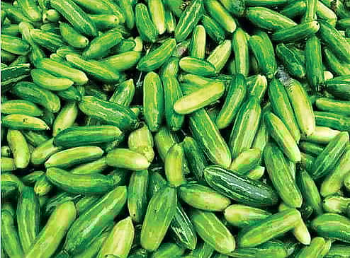 சித்த மருத்துவக் குறிப்புகள்...