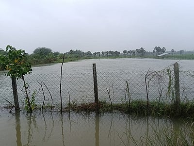 நீரில் விழுந்த நெருப்பு!