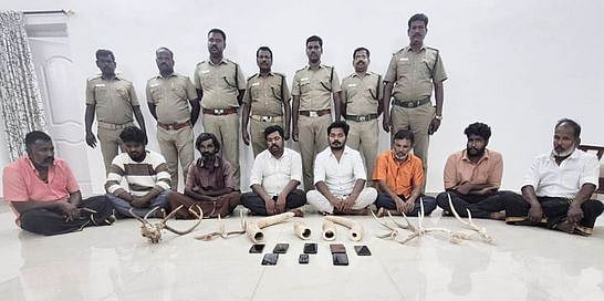 யானை தந்தம், மான்கொம்பு கடத்தல்: 8 போ் கைது