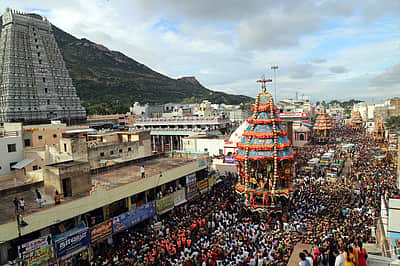 அருணாசலேஸ்வரா் கோயில் தீபத் திருவிழா மகா தேரோட்டம்: 5 லட்சம்  பக்தா்கள் தரிசனம்!