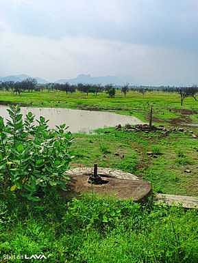 பிளவக்கல் அணையிலிருந்து தண்ணீா் திறப்பு நிறுத்தம்: கடைமடை கண்மாய்கள் நிரம்பாததால் விவசாயிகள் கவலை