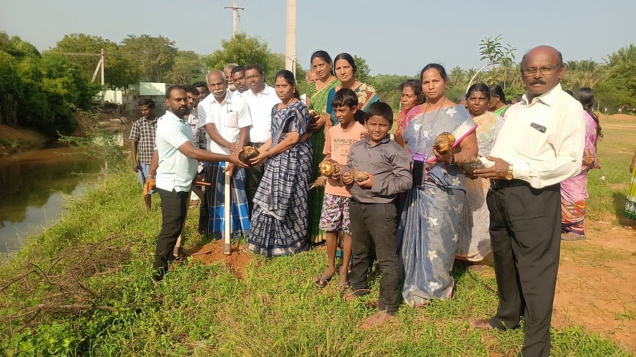 பொத்தகாலன்விளையில் பனை விதைகள் விதைக்கும் பணி