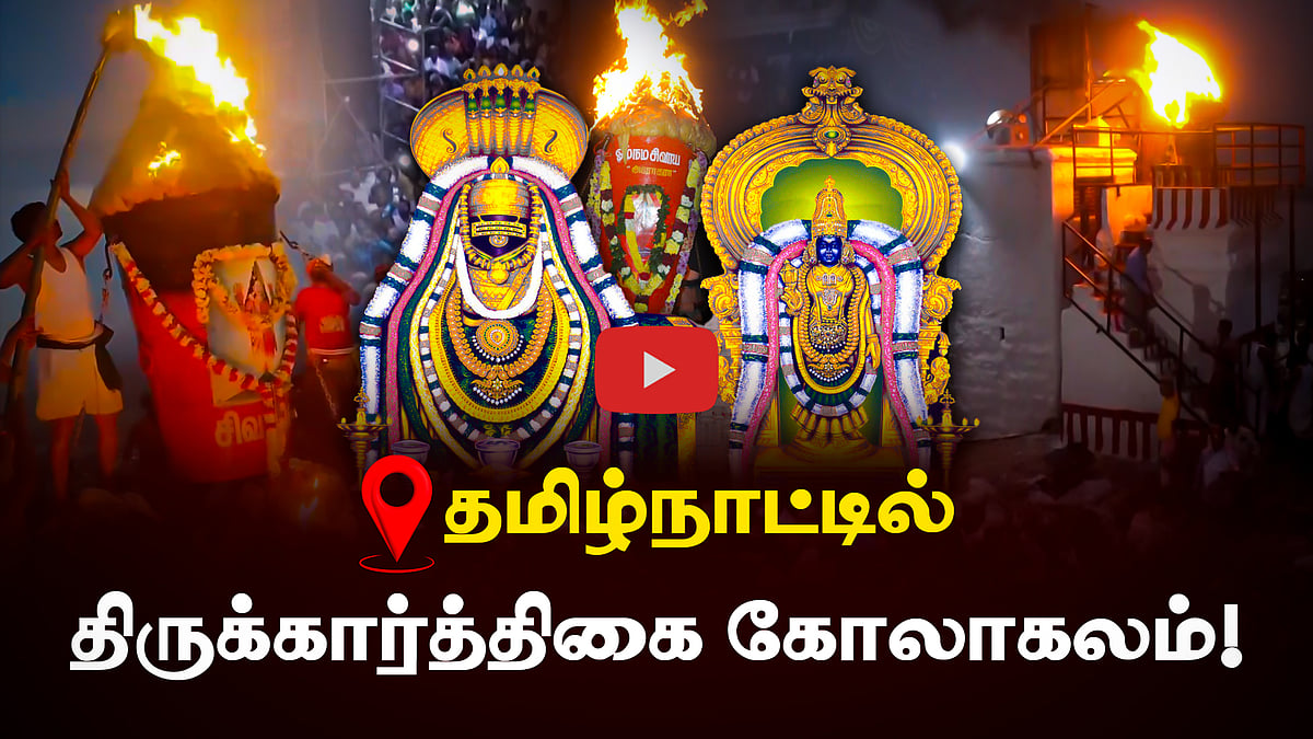 தமிழ்நாட்டில் திருக்கார்த்திகை கோலாகலம்!