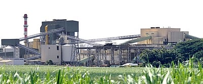 43% உயா்வு கண்ட சா்க்கரை உற்பத்தி