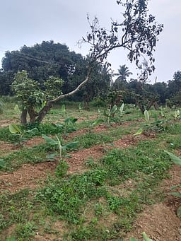 தொகுதி அறிமுகம்... கே.வி.குப்பம்