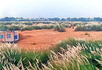 பிலிக்கல்பாளையம் - கொடுமுடி இடையே காவிரியின் குறுக்கே உயா்நிலை பாலம்: பணிகளை விரைந்து தொடங்க வலியுறுத்தல்!