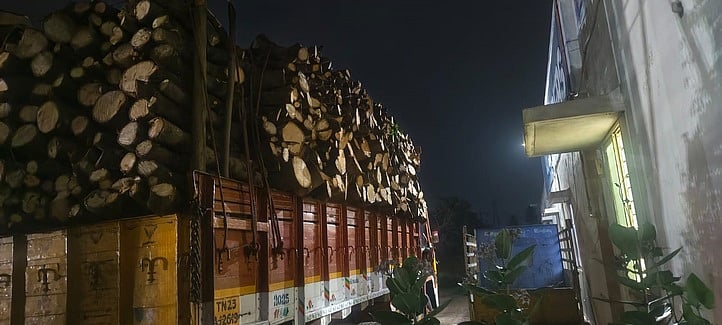 மாங்கூழ் தொழிற்சாலை அமைக்காததால் வெட்டப்படும் மா மரங்கள்!