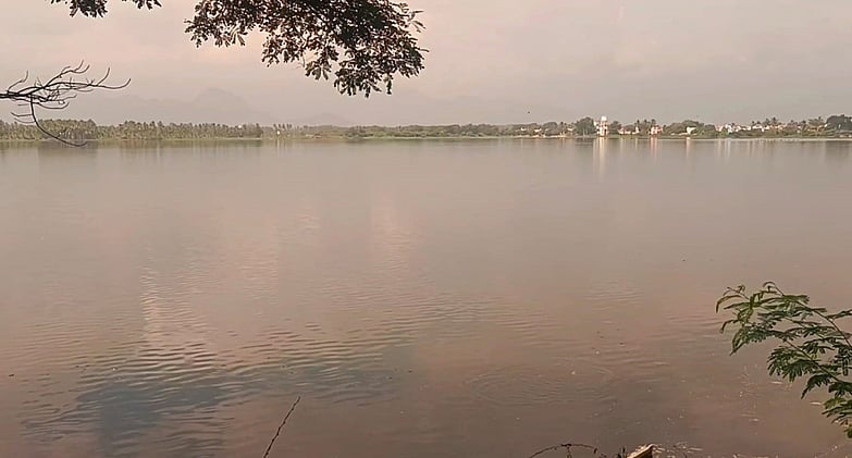 தொடா் மழை: மறுகால் பாயும்
மீனாட்சியம்மன் கண்மாய்