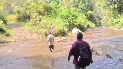 பாலம் அமைக்க பழங்குடியின மக்கள் கோரிக்கை!