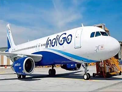 இண்டிகோ சேவையில் இயல்புநிலை திரும்பியது: ஊழியா்களுக்கு சிஇஓ பீட்டா் எல்பா்ஸ் நன்றி