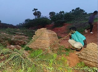 வேப்பலோடை, பனையூா் அணைக்கட்டுப் பகுதியில் காணப்படும் பாறைப் படிமங்கள்.