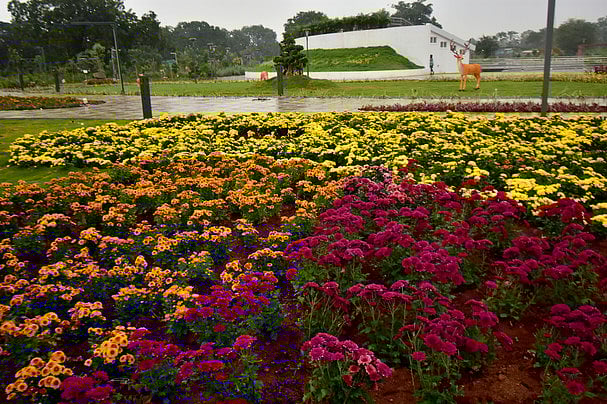 செம்மொழிப் பூங்கா இன்று திறப்பு