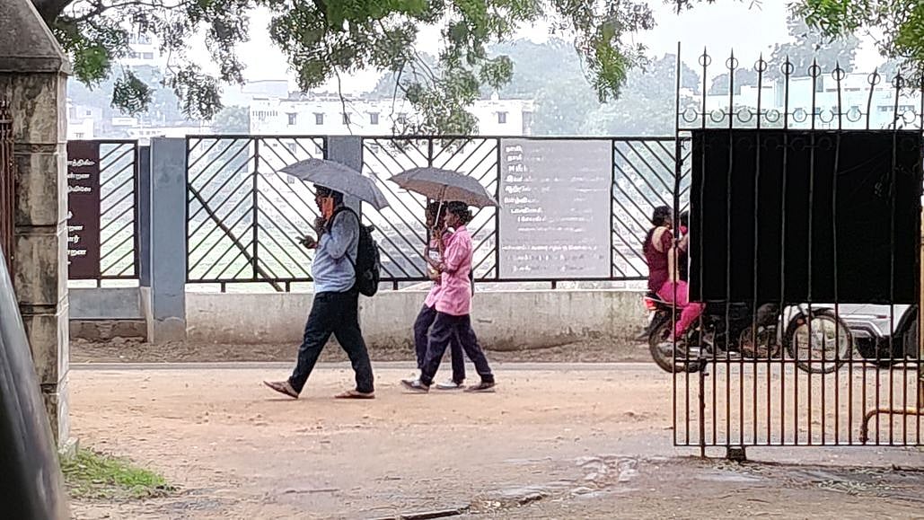 நெல்லையில் மிதமான மழை