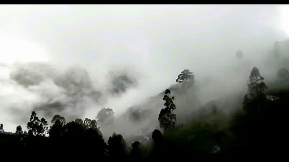 கொடைக்கானலில் பனிப் பொழிவு