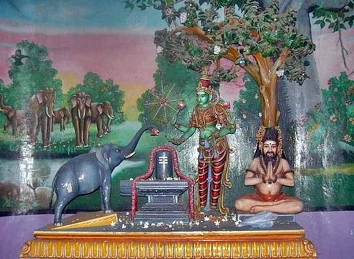 தெய்வ தரிசனம்... அனைத்து தோஷங்களும் நீங்க திருவானைக்கா ஜம்புகேஸ்வரர்!