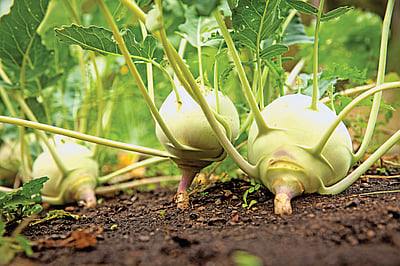 சமையல் குறிப்புகள்...