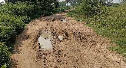 தாா்ச்சாலை அமைக்க 
பொதுமக்கள் கோரிக்கை