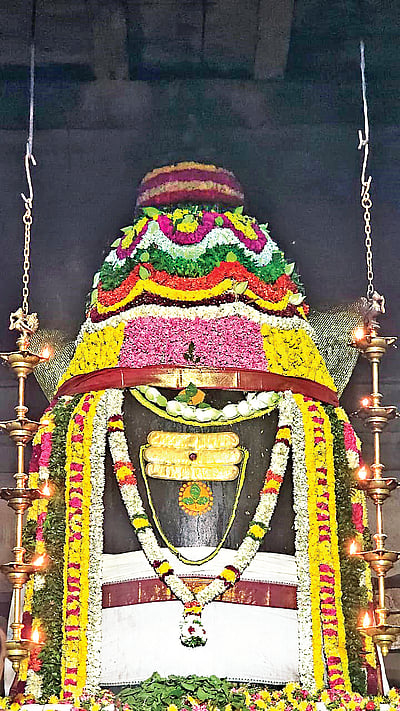 கடவுள் அளித்த கொடை !