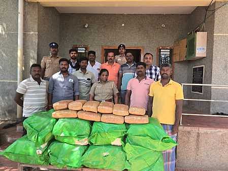 இலங்கைக்கு கடத்தவிருந்த 170 கிலோ கஞ்சா பறிமுதல்! இளைஞா் கைது!