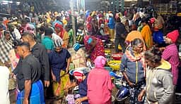 கடலூா் துறைமுகத்துக்கு மீன்கள் வரத்து குறைவால் விலை உயா்வு