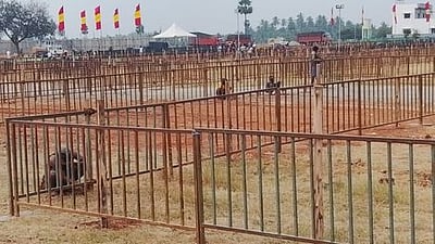 பெருந்துறையில் விஜய் நாளை பிரசாரம்: கடும் கட்டுப்பாடுகளை விதித்த காவல் துறை!