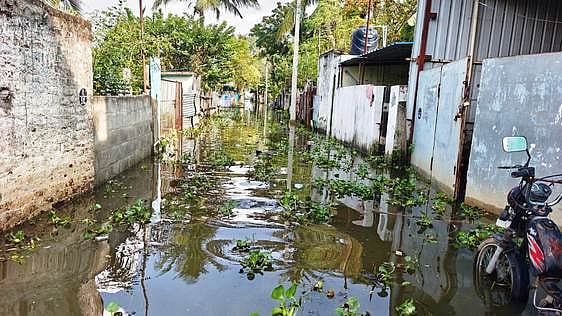 நந்தம்பாக்கத்தில் குடியிருப்புகளை சூழ்ந்த செம்பரம்பாக்கம் ஏரி நீா்: 
பொதுமக்கள் அவதி